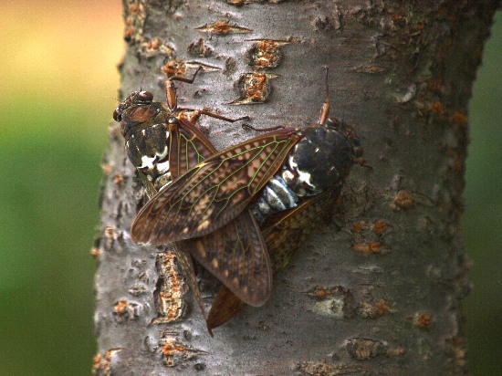 f0208666_17325434.jpg