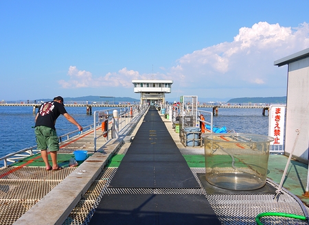 福岡市海づり公園（福岡市西区）_c0099967_20372938.jpg