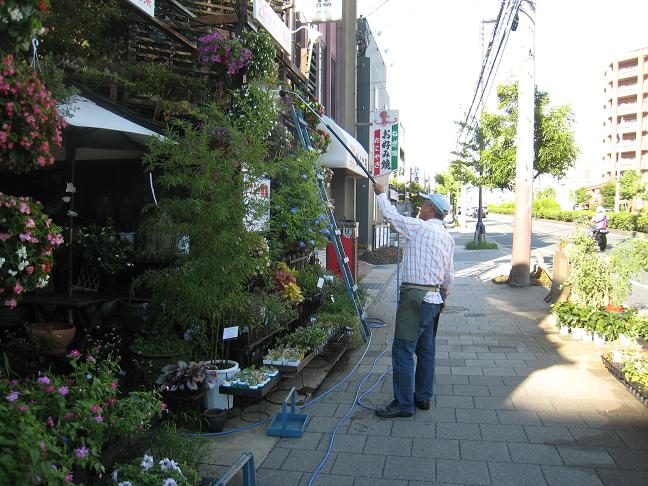 夏の日の花屋さん_f0205367_183935.jpg