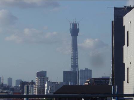 a0162968_17525896.jpg