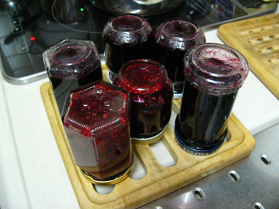c0040472_16273215.jpg