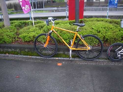 f0064278_2051970.jpg