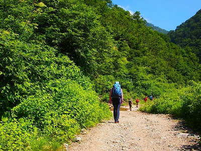 黒部川源流の山小屋を訪ねる（初日）_e0008887_8475791.jpg