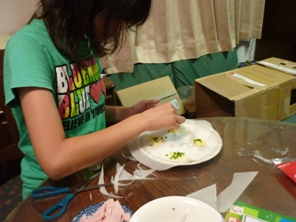 レンジでチン!で変わりチーズ煎餅づくり。_e0188087_21332331.jpg