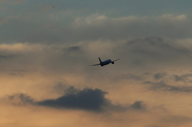 私の休日(大阪空港）_f0142287_16214334.jpg