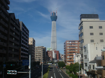 ＴＯＫＹＯ　ＳＫＹ　ＴＲＥＥ_d0132289_058246.jpg