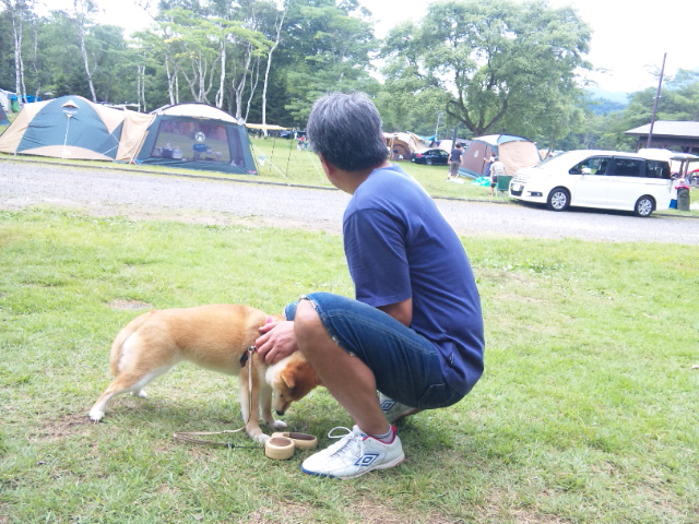 撤収作業終了_a0126590_11342095.jpg