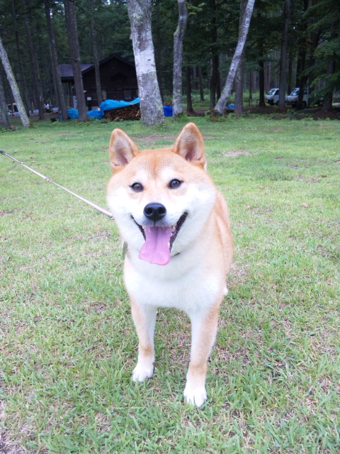 さよなら戸隠_a0126590_14214310.jpg