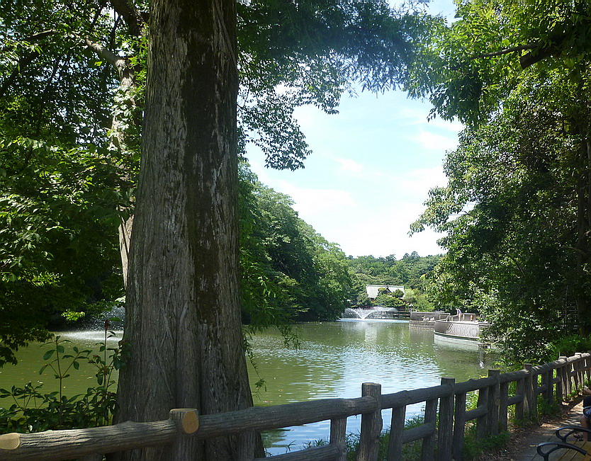 c0138198_61657.jpg