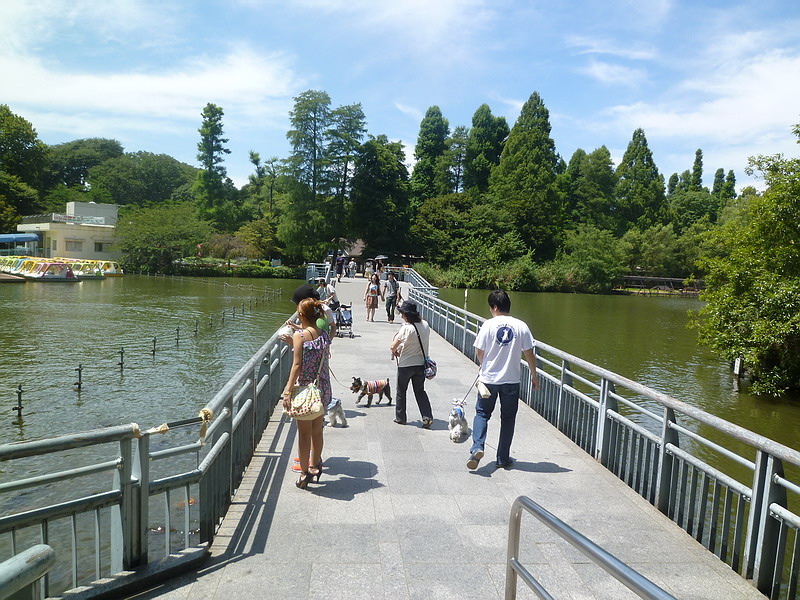 c0138198_6174462.jpg