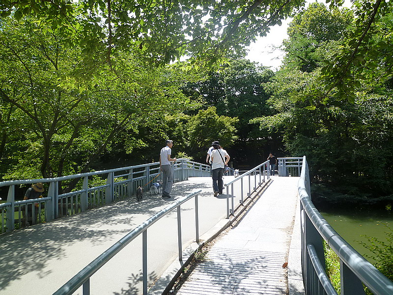 c0138198_6213244.jpg