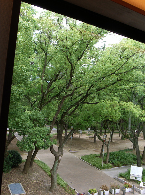 c0015099_19234568.jpg