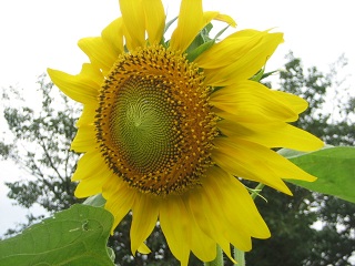 f0077807_17503619.jpg