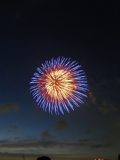 a0036808_23345860.jpg