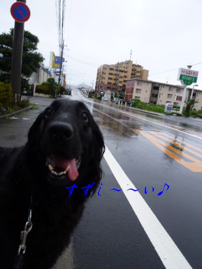 c0097309_9341115.jpg