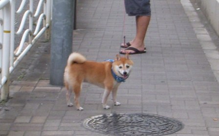 f0004309_20272546.jpg