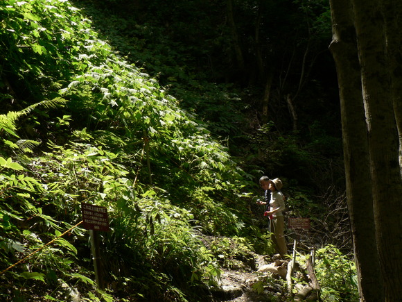 f0219710_74336.jpg