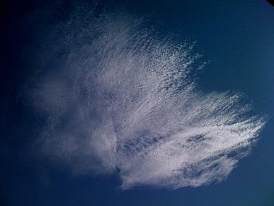 e0020011_14401715.jpg