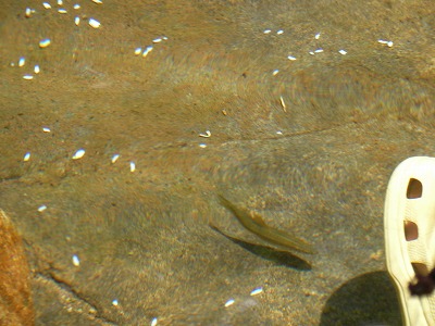 b0181417_22304522.jpg