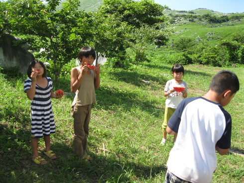 子供キャンプ「2日目」~~_a0125419_1581414.jpg