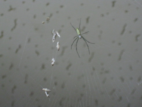 「恵みの雨」~~_a0125419_19272417.jpg