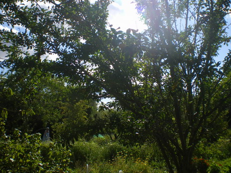 c0124619_4441375.jpg