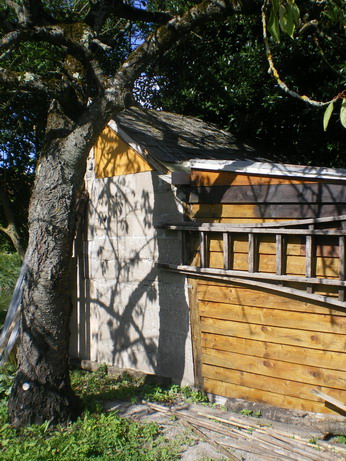 c0124619_4464932.jpg