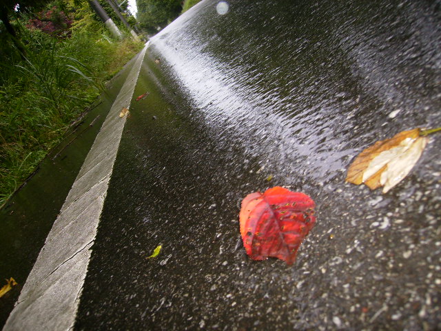 f0204425_21241428.jpg