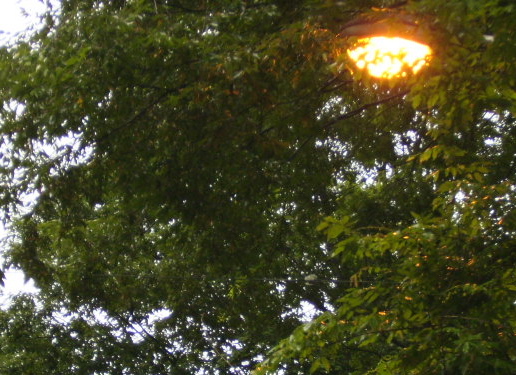 f0204425_21275199.jpg