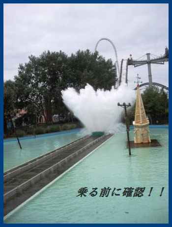 豚ひれ肉のソテー~クリームケイパーソース~(他のお肉や魚で代用可^^)_d0104926_2103666.jpg