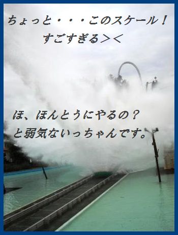 豚ひれ肉のソテー~クリームケイパーソース~(他のお肉や魚で代用可^^)_d0104926_2105543.jpg