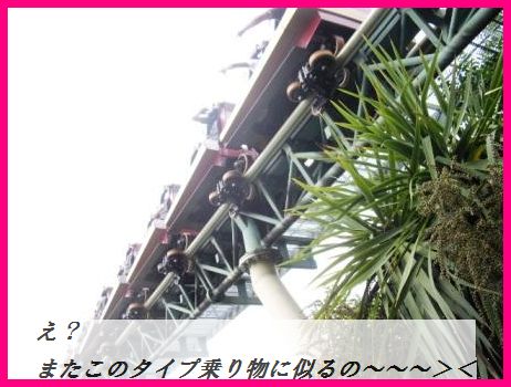豚ひれ肉のソテー~クリームケイパーソース~(他のお肉や魚で代用可^^)_d0104926_2122290.jpg