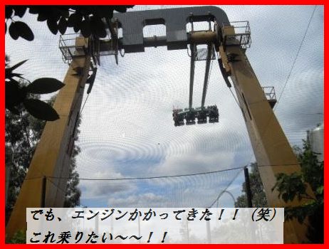 豚ひれ肉のソテー~クリームケイパーソース~(他のお肉や魚で代用可^^)_d0104926_2183147.jpg
