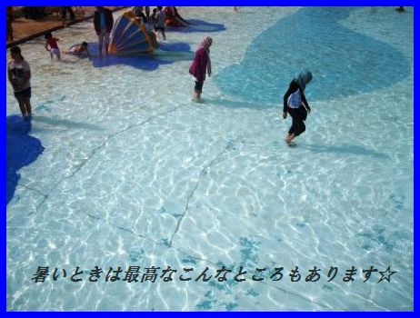 豚ひれ肉のソテー~クリームケイパーソース~(他のお肉や魚で代用可^^)_d0104926_2201180.jpg
