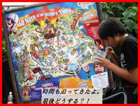 豚ひれ肉のソテー~クリームケイパーソース~(他のお肉や魚で代用可^^)_d0104926_2205499.jpg