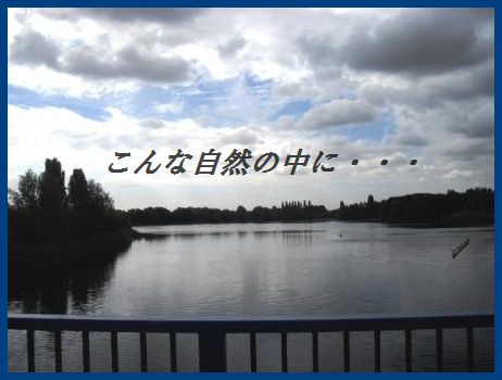 豚ひれ肉のソテー~クリームケイパーソース~(他のお肉や魚で代用可^^)_d0104926_25440.jpg