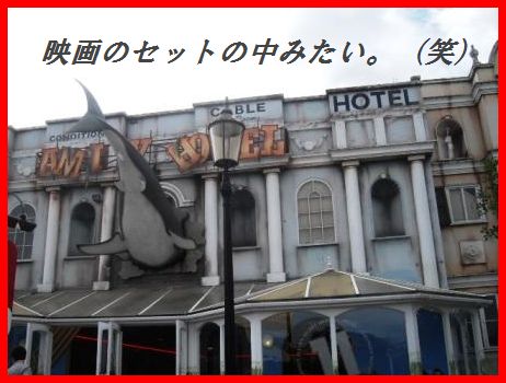 豚ひれ肉のソテー~クリームケイパーソース~(他のお肉や魚で代用可^^)_d0104926_264099.jpg
