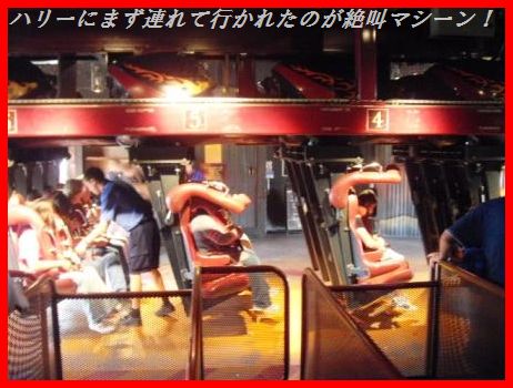 豚ひれ肉のソテー~クリームケイパーソース~(他のお肉や魚で代用可^^)_d0104926_28122.jpg