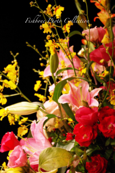 b0147329_865615.jpg