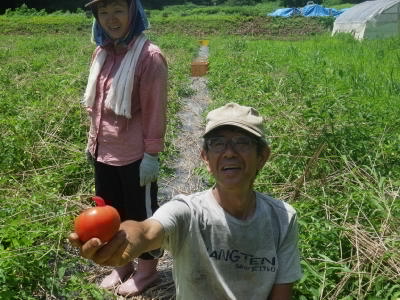 c0167329_822930.jpg