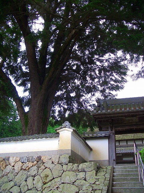 b0191932_12543873.jpg