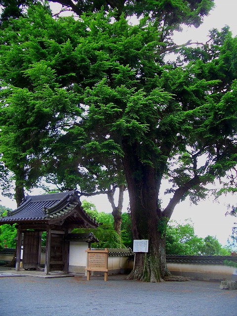 b0191932_12551218.jpg