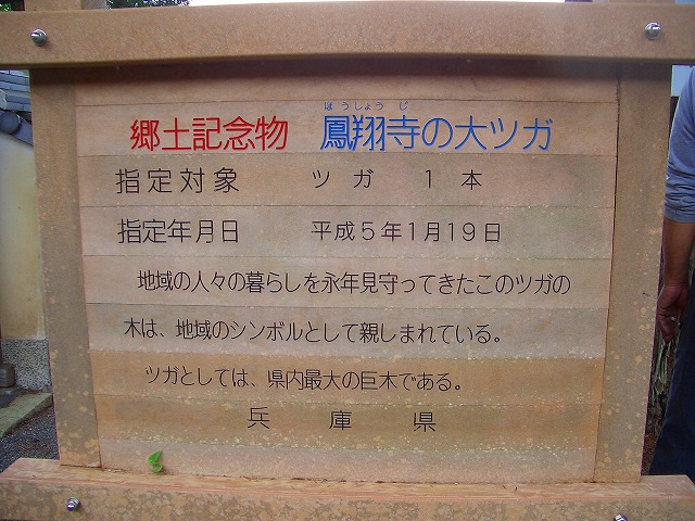 b0191932_1321233.jpg