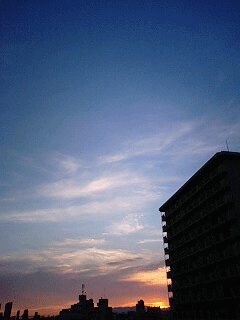 d0048332_944962.gif