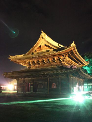 瑞龍寺 ライトアップ_c0219737_1139812.jpg