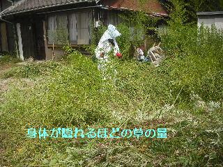 強い意志で打ち勝つ剪定_f0031037_2211392.jpg