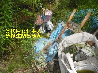 強い意志で打ち勝つ剪定_f0031037_22115489.jpg
