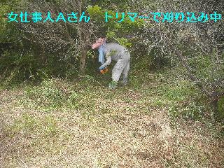 強い意志で打ち勝つ剪定_f0031037_22121746.jpg