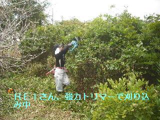 強い意志で打ち勝つ剪定_f0031037_22122661.jpg