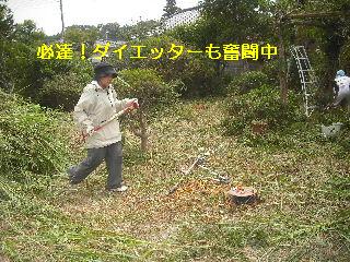 強い意志で打ち勝つ剪定_f0031037_2212436.jpg